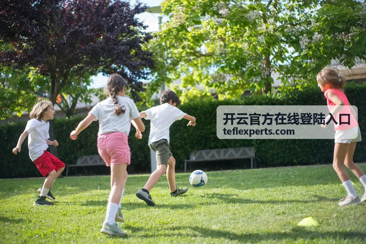 开云官方在线登陆入口账户支持帮助封面