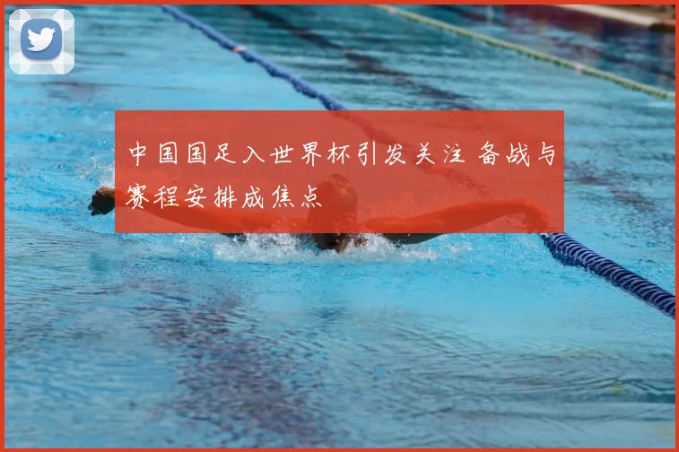 中国国足入世界杯引发关注 备战与赛程安排成焦点