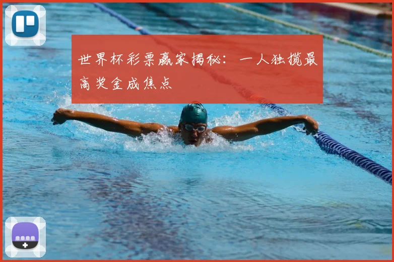 世界杯彩票赢家揭秘：一人独揽最高奖金成焦点