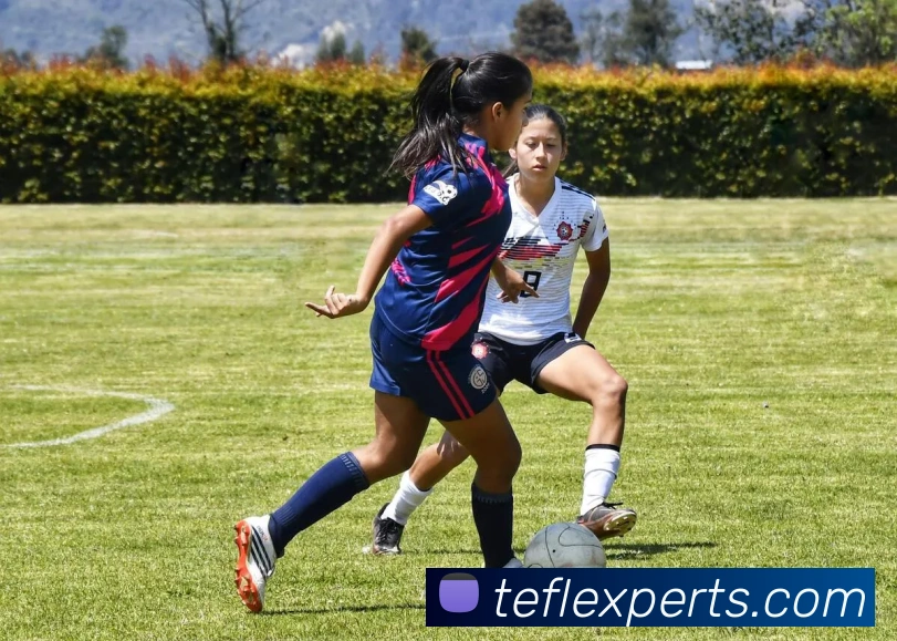 多媒体互动体验